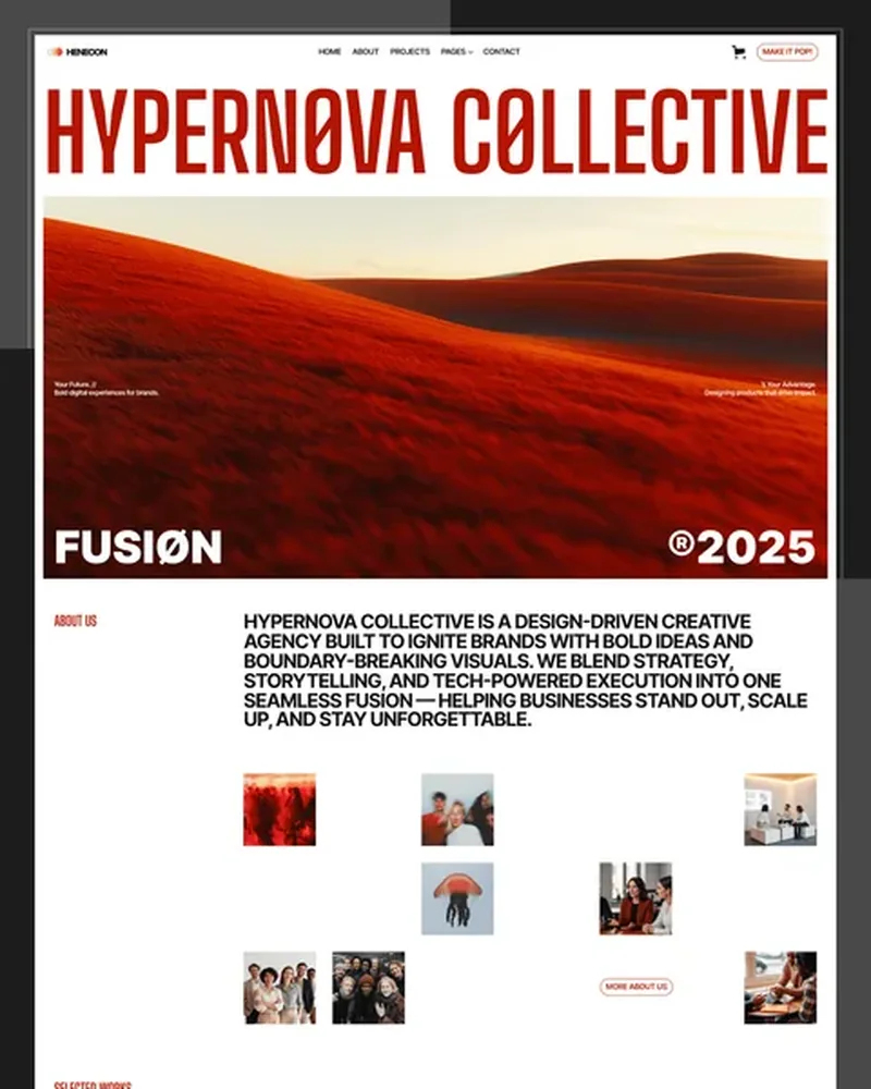 Studio Shop demo — Henecon home page