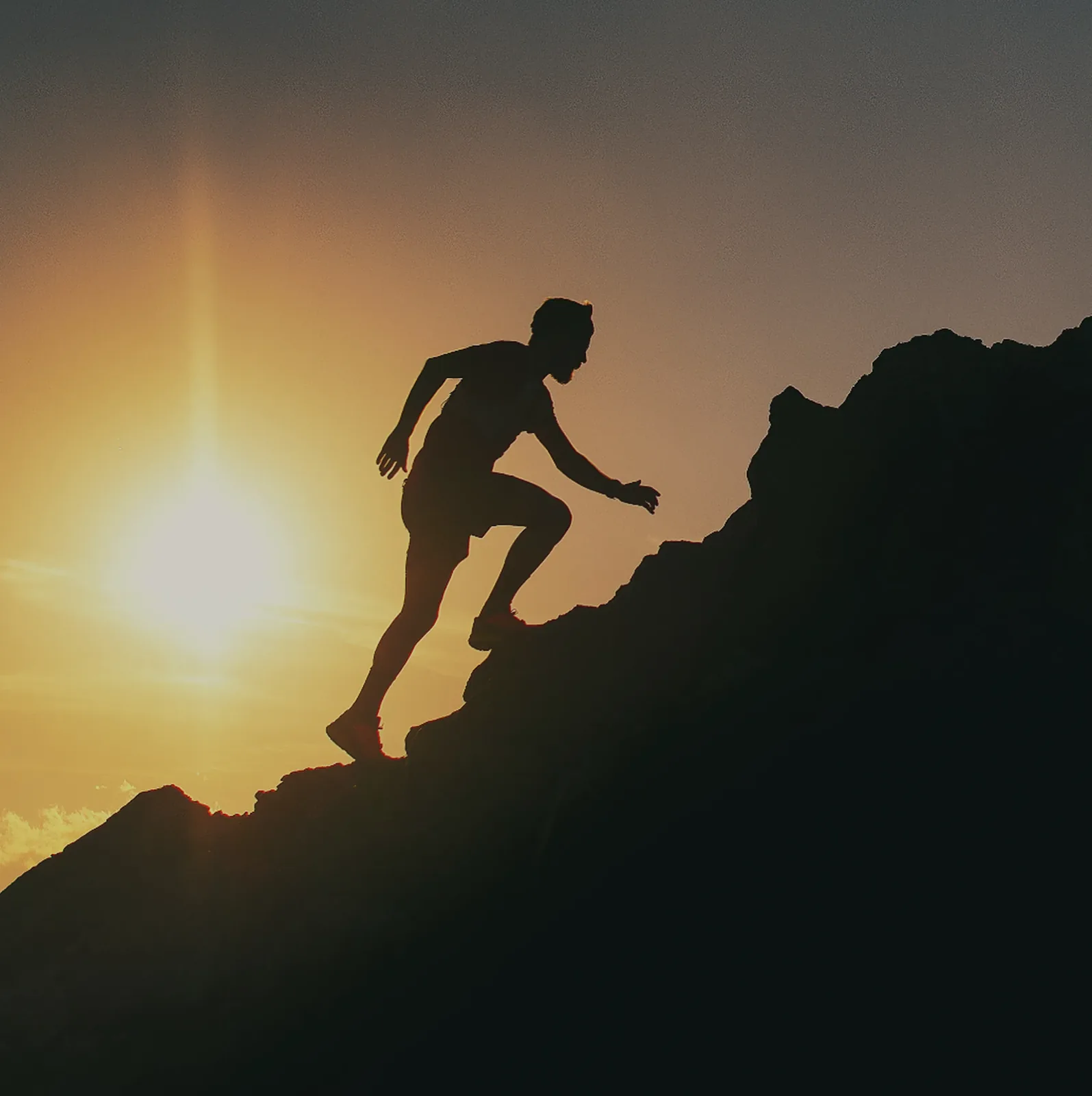 Orbit Finance