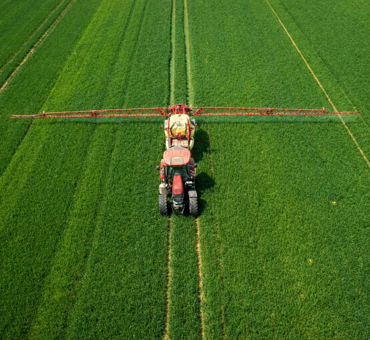 Data Insights Driving Environmental Progress Forward