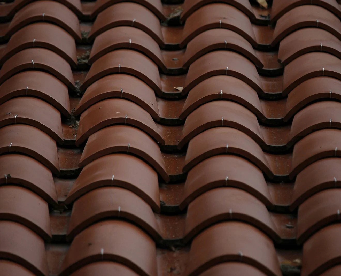 Asphalt Shingles